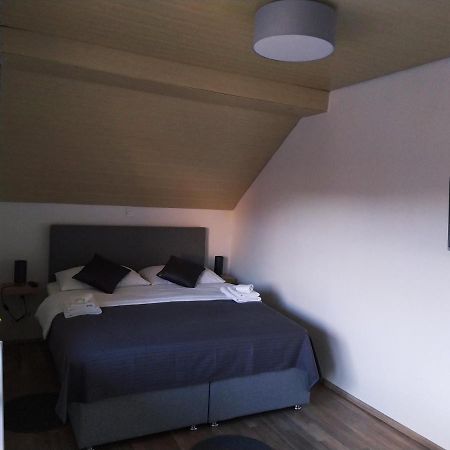Apartment Trubarjeva33, Near Ljubljana, Free Parking 벨리케라슈체 지방 자치제 외부 사진