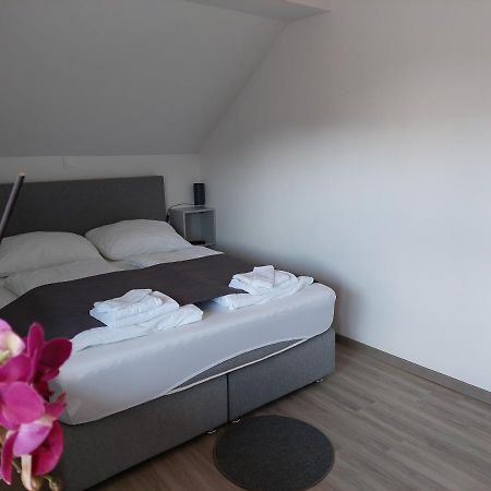 Apartment Trubarjeva33, Near Ljubljana, Free Parking 벨리케라슈체 지방 자치제 외부 사진